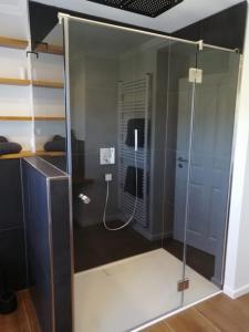 um chuveiro com uma porta de vidro num quarto em Ferienwohnung SeeGlück em Nohfelden
