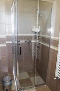 y baño con ducha y puerta de cristal. en Vila Madera Pribojska Banja en Priboj