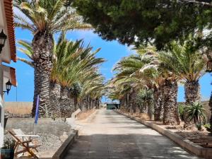 a row of palm trees on a sidewalk at Quintinha das Lombas S in Porto Santo