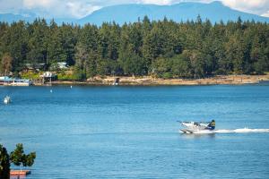 a person on a boat in the water at Best Western Dorchester Hotel in Nanaimo