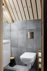 a bathroom with a white toilet in a room at Mount Apart Sport House in Zakopane