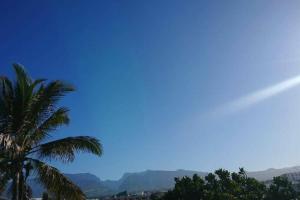 a palm tree with mountains in the background at Entre terre et mer in Saint-Pierre