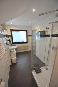 a bathroom with a shower and a sink at Hotel-Restaurant Ehses in Zeltingen-Rachtig