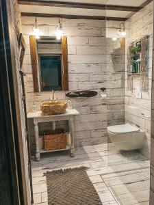 a bathroom with a sink and a toilet and a mirror at By Riverhill in Karlovac