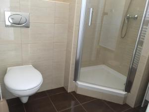 a bathroom with a toilet and a shower at Bogoly Apartman in Tokaj