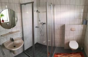 uma casa de banho com um chuveiro, um lavatório e um WC. em Ferienhaus/Ferienwohnung Fam. Manthey em Harrendorf