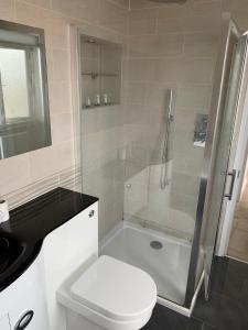 a bathroom with a shower and a toilet and a sink at Sea view apartment in Cleethorpes