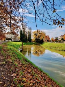 un estanque en un parque junto a un campo de césped en Relais San Rocco, en Mira