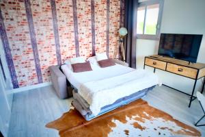 1 dormitorio con 1 cama, vestidor y TV en La Company Des Concierges : Le Green Way en Caen