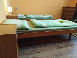 Postel nebo postele na pokoji v ubytování Privat Mapak