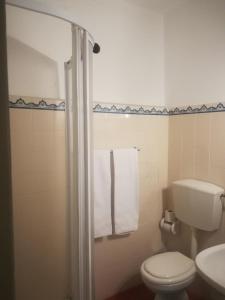 a bathroom with a white toilet and a shower at Casa do Campanário in Sortelha