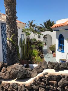 a house with a palm tree and a stone wall at CASA CALMA in La Pared