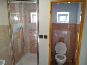 a bathroom with a toilet and a shower with a glass door at Penzion Burda in Žehrov +53 photos