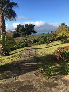 a stone path in a park with a palm tree at Bungalows Do Amparo in Ponta do Pargo