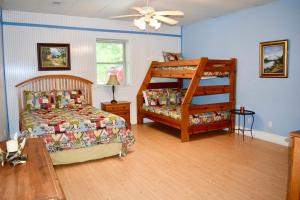 a bedroom with a bunk bed and a ladder at Mountain Shade in Townsend
