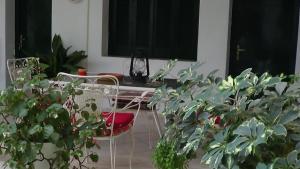 Φωτογραφία από το άλμπουμ του Mouroukis Rooms στα Λουτρά Αιδηψού +1 φωτογραφίες