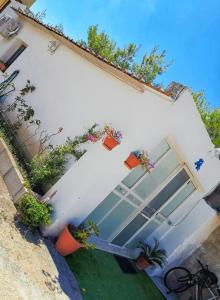 Zahrada ubytování Casa Vacanze I Due Delfini