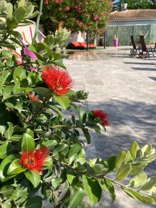 einen Busch mit roten Blumen neben einer Terrasse in der Unterkunft Logis Hôtel Restaurant Les Aubuns in Caissargues