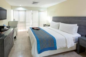 a bedroom with a large bed and a television at Hodelpa Centro Plaza in Santiago de los Caballeros