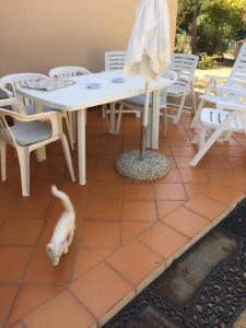 un gatto è in piedi accanto a un tavolo e sedie di Casa Maltinu a Santa Teresa di Gallura