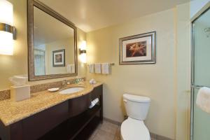 a bathroom with a toilet, sink, and mirror at Holiday Inn Titusville/Kennedy Space Center, an IHG Hotel in Titusville