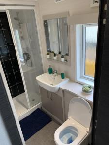 uma casa de banho com um WC, um lavatório e um chuveiro em Lola Lodge - Luxury Hot Tub Retreat em Newton on the Moor