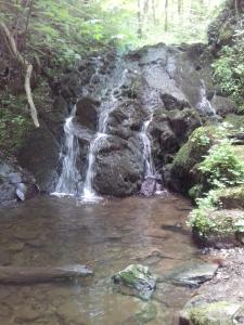 旅舍周边自然景观