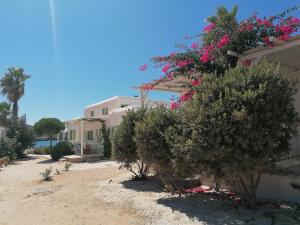 a building with bushes and flowers on the side of it at Sunset Studios & Rooms in Antiparos