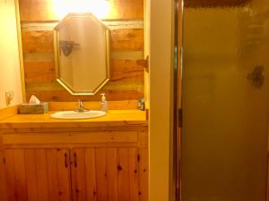 a bathroom with a sink and a mirror at Bearadise in Townsend +17 photos