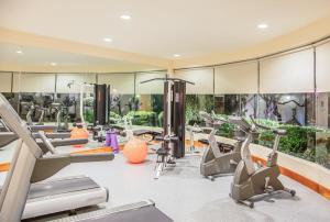 - une salle de sport avec tapis de course et machines elliptiques dans l'établissement Fiesta Inn Tijuana Otay Aeropuerto, à Tijuana