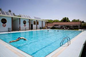 een persoon duikt in een zwembad bij Camping Ezcaba in Maquirriain