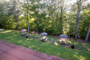 a group of picnic tables with umbrellas in the grass at Carter Caves State Resort Park in Olive Hill