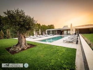 uma piscina com uma árvore ao lado de uma casa em The Wine House Hotel - Quinta da Pacheca em Lamego