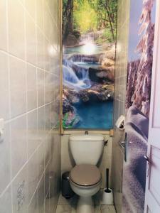 uma casa de banho com uma pintura de cascata por cima de um WC em Appartement au pied des pistes- Piau Engaly em Aragnouet