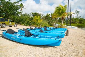 Giardino di The Explorean Kohunlich - All Inclusive