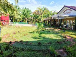 a yard in front of a building with palm trees at Hemingway Cottage 海明威度假屋 in Semporna