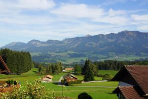 eine grüne Wiese mit Bergen im Hintergrund in der Unterkunft Ferienwohnung Karin in Bolsterlang