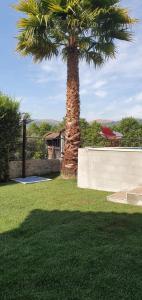 Jardín al aire libre en Villas da Quintã