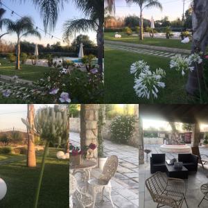 a collage of photos of a garden with a palm tree at Mythos Holidays & Events in Siracusa