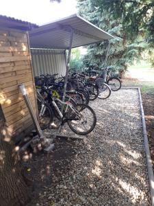 Jazda na bicykli v okolí ubytovania KARDOS APARTMAN + 16 fotografií