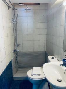 uma casa de banho com um chuveiro, um WC e um lavatório. em Villa Amalia em Halki