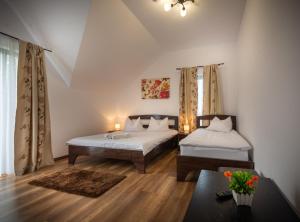 Gallery image of Vila Alexandra Sovata in Sovata