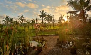 a garden with palm trees and plants and the sunset at Green Field Hotel and Restaurant in Ubud