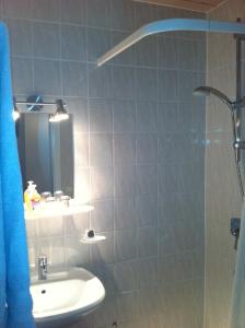 a bathroom with a sink and a shower with a mirror at Gästehaus Ullmannshof in Kirchheim am Neckar
