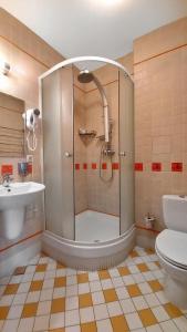 a bathroom with a shower and a toilet and a sink at Dom Veteranov Kino in Moscow