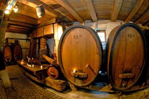 Kuvagallerian kuva majoituspaikasta Gite Du Vigneron, joka sijaitsee kohteessa Turckheim