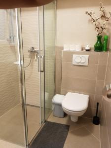 a bathroom with a toilet and a glass shower at Apartmani Elena in Malinska +31 photos