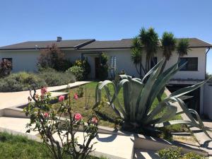 a house with a plant in the front yard at La villa di Alice in Cerveteri