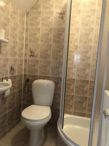 łazienka z toaletą i prysznicem w obiekcie Apartament Łapacz Snów w mieście Tylicz