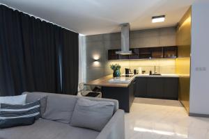 Kuchnia lub aneks kuchenny w obiekcie EL Apartments - Antares